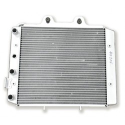 Радиатор системы охлаждения CF 500, X4, X5, X6 9010-180100-1000 