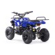 MOTAX Mini Grizlik X-16 Big Wheel 1000W электрический детский квадроцикл
